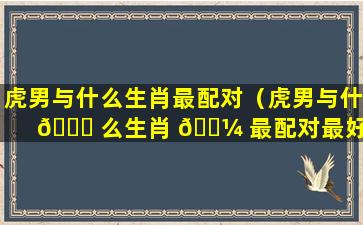 虎男与什么生肖最配对（虎男与什 🍀 么生肖 🐼 最配对最好）